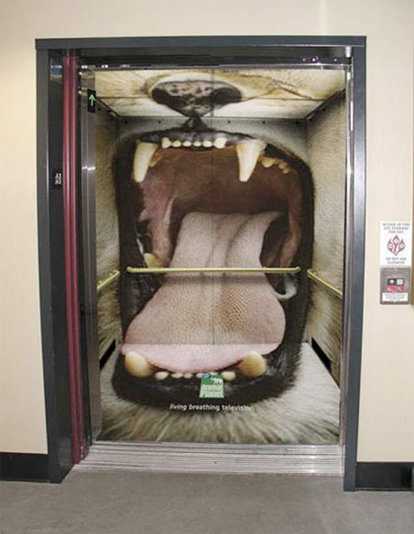 Animal Planet Elevator Advertising