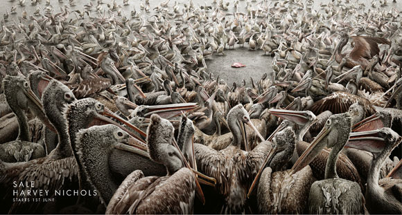 Creative print ads