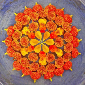 rangoli design
