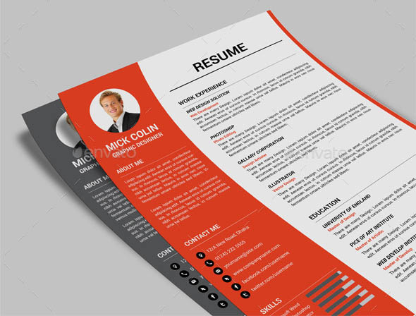 One Pages Resume Template