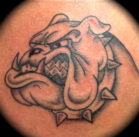 Bulldog Tattoos On Bicep