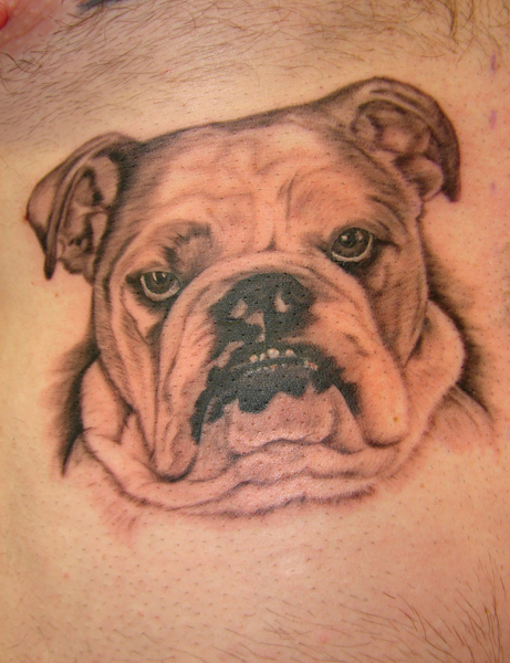 Lovely Bulldog Tattoo