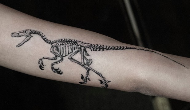 Skeleton Dinosaur Tattoo