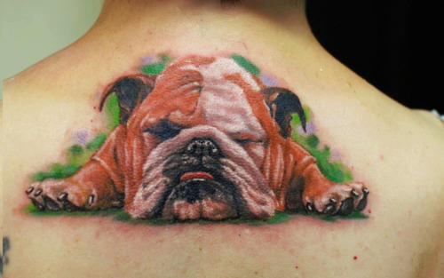 Sleep Bulldog Tattoo