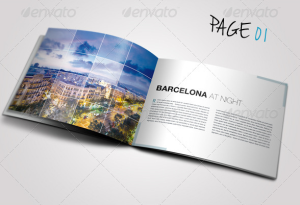 Travel : Business Brochure