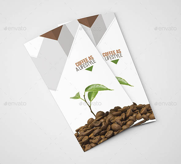 Creative Trifold Brochure