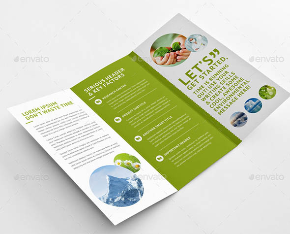 Green Environmental Trifold Brochure