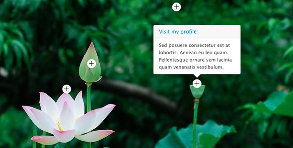 jquery-hotspot-plugin-with-slideshow